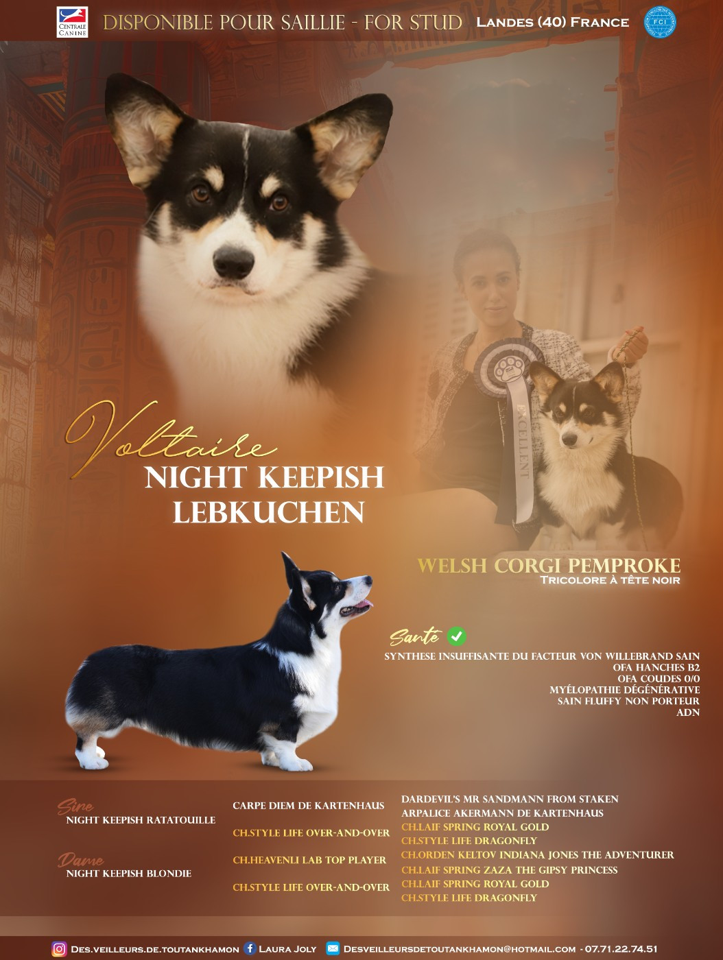 Proposition de Saillie