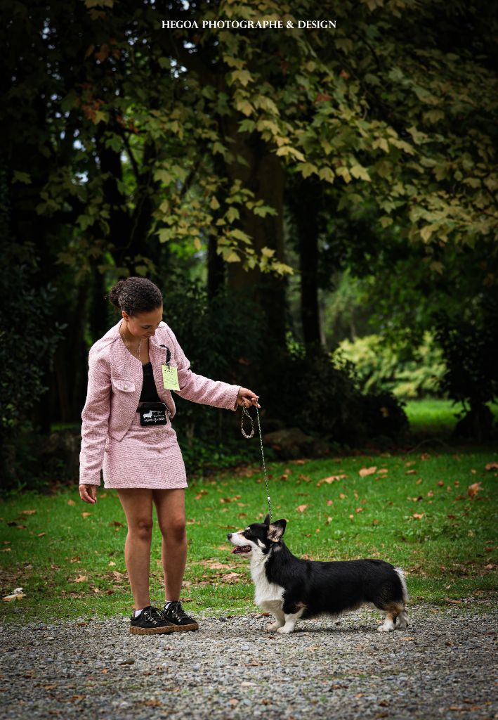 Exposition de Denguin 2025